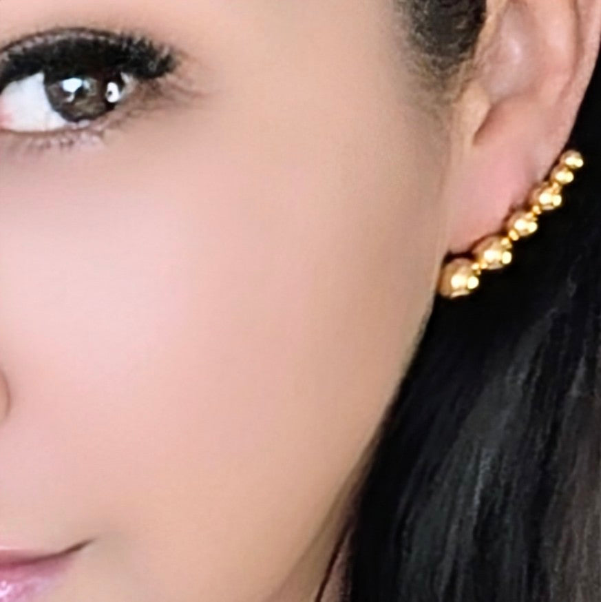 Sunset Earrings